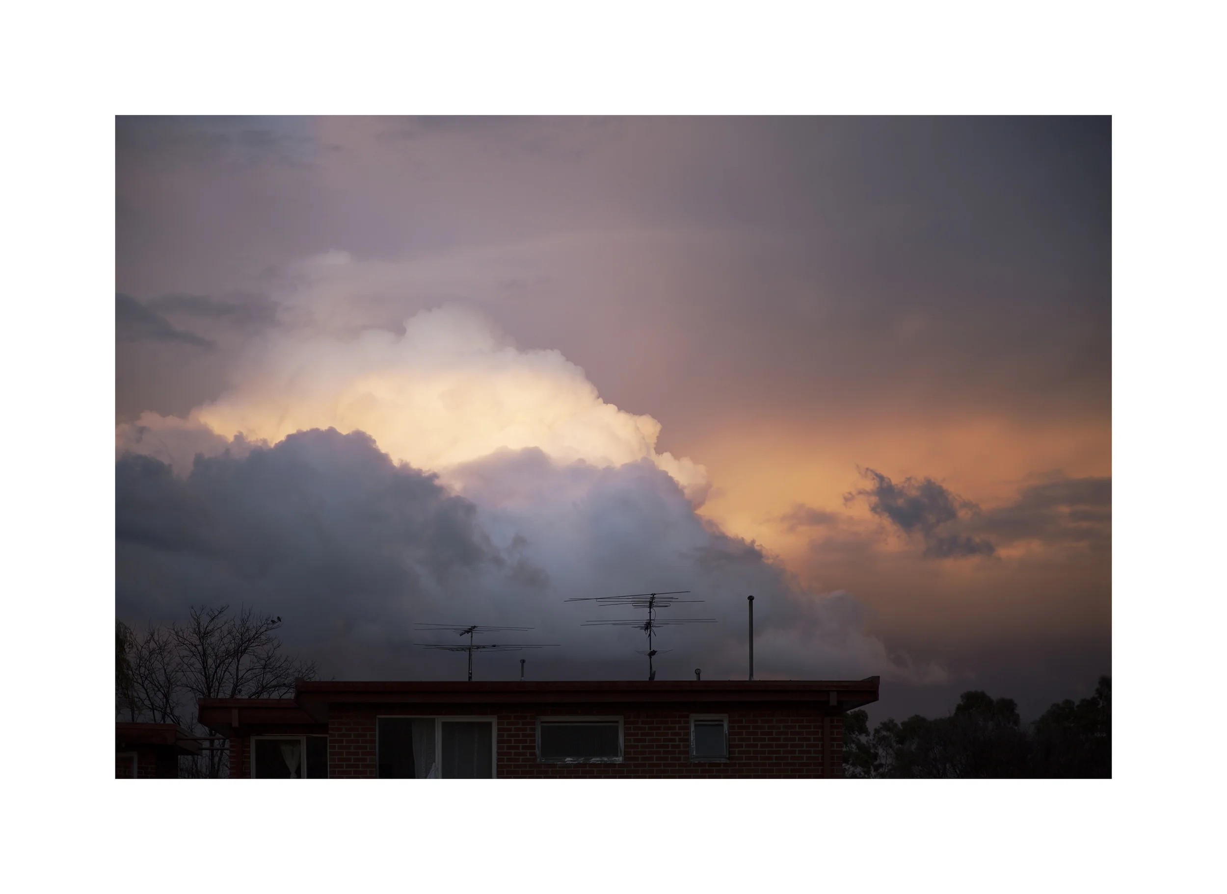 8N4A4891edited.jpg