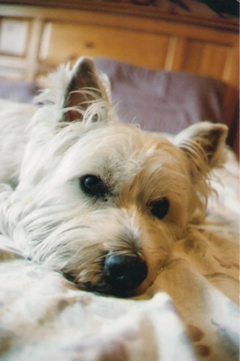 lucy at peace.jpg