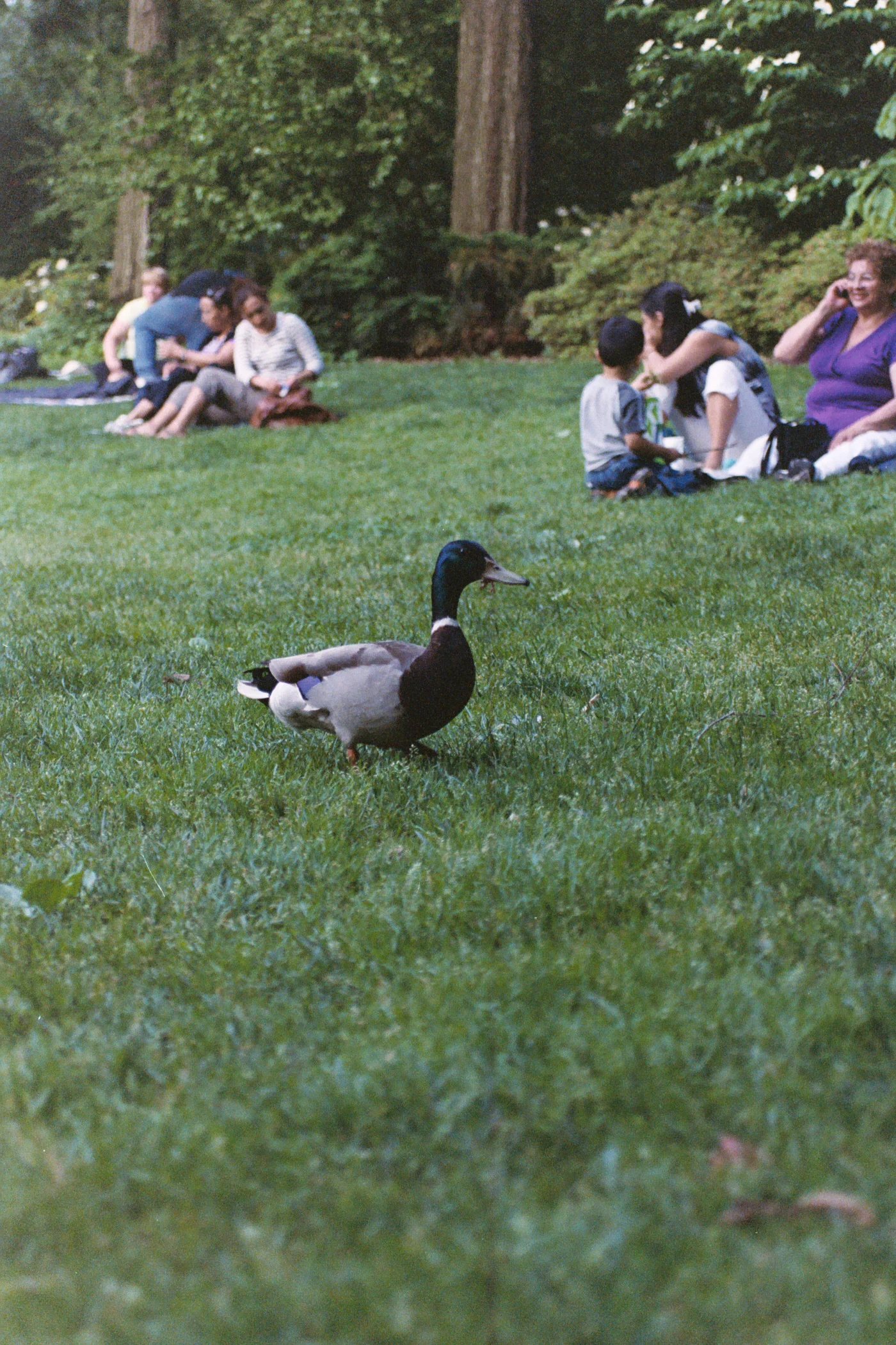 bird.jpg