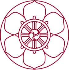 imageedit_2_5564438287.gif
