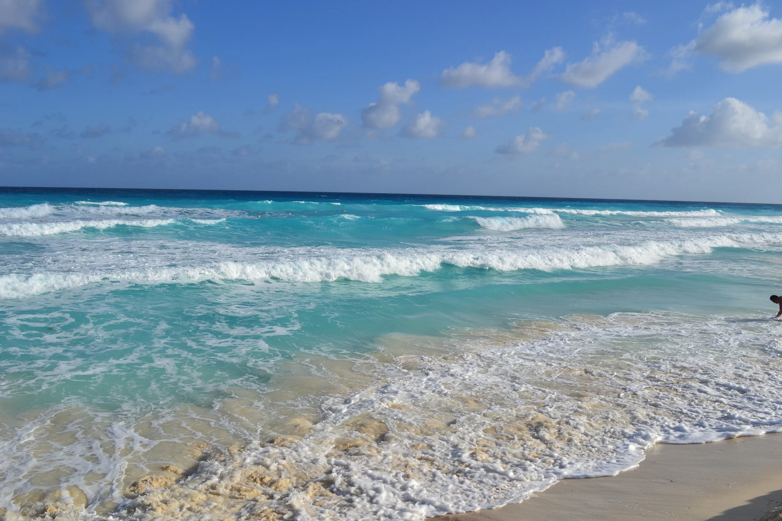 DSC_0102.JPG