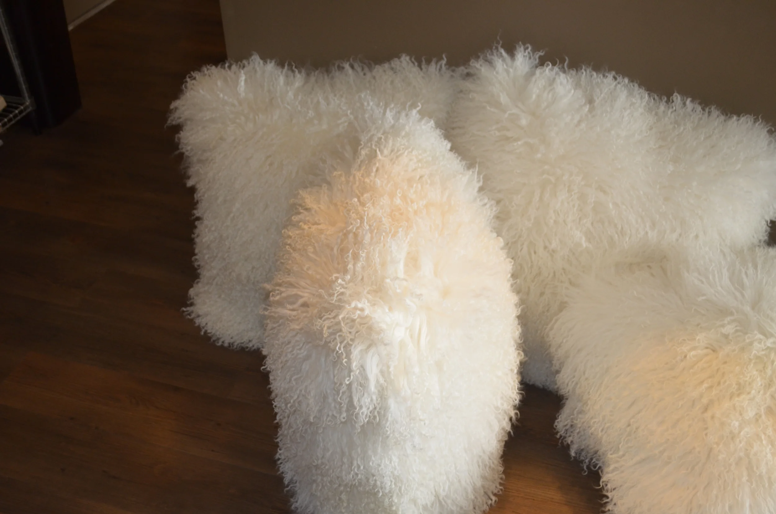 Import 11-29-2013 056.JPG