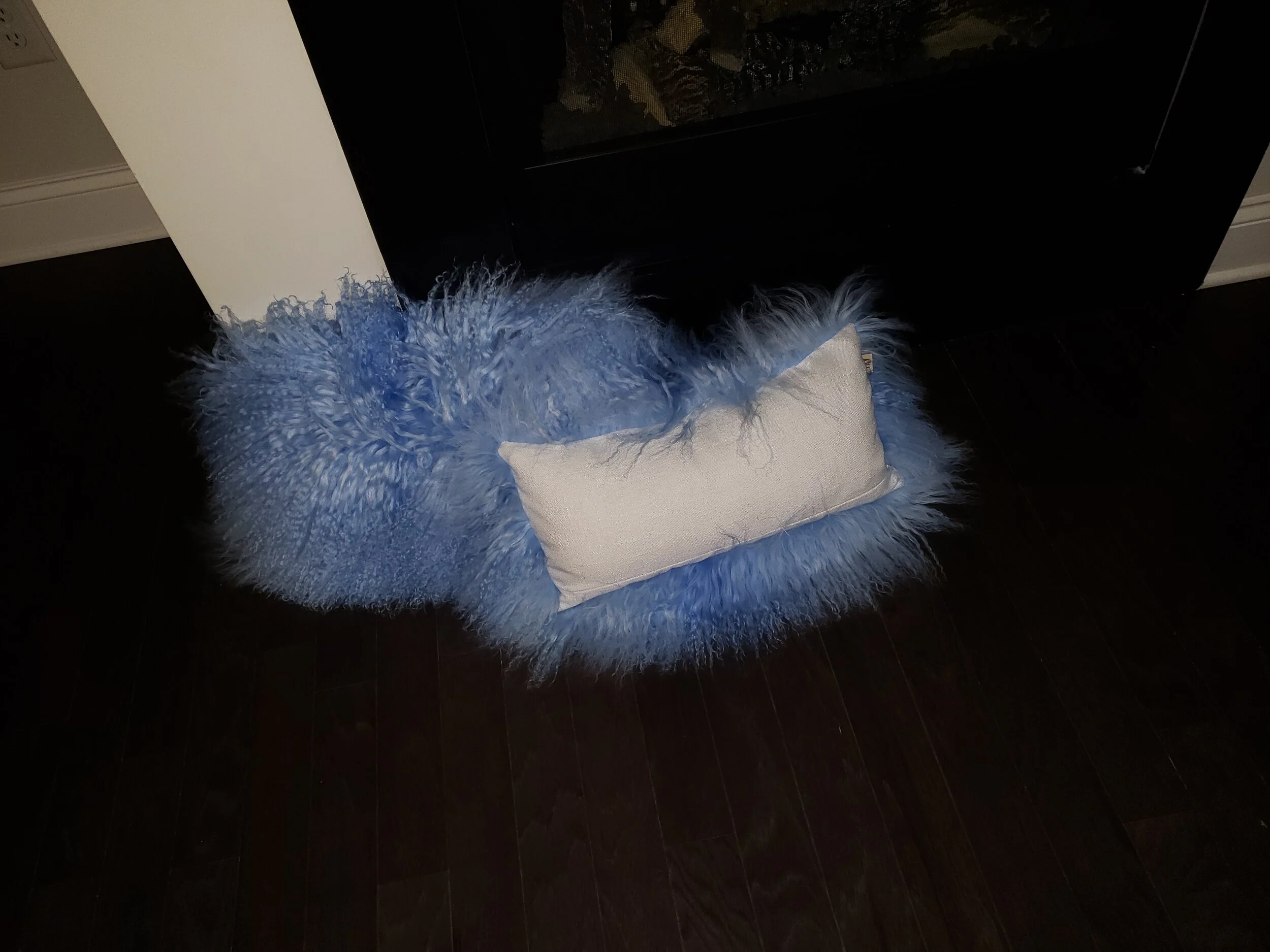 blue pair2.jpg
