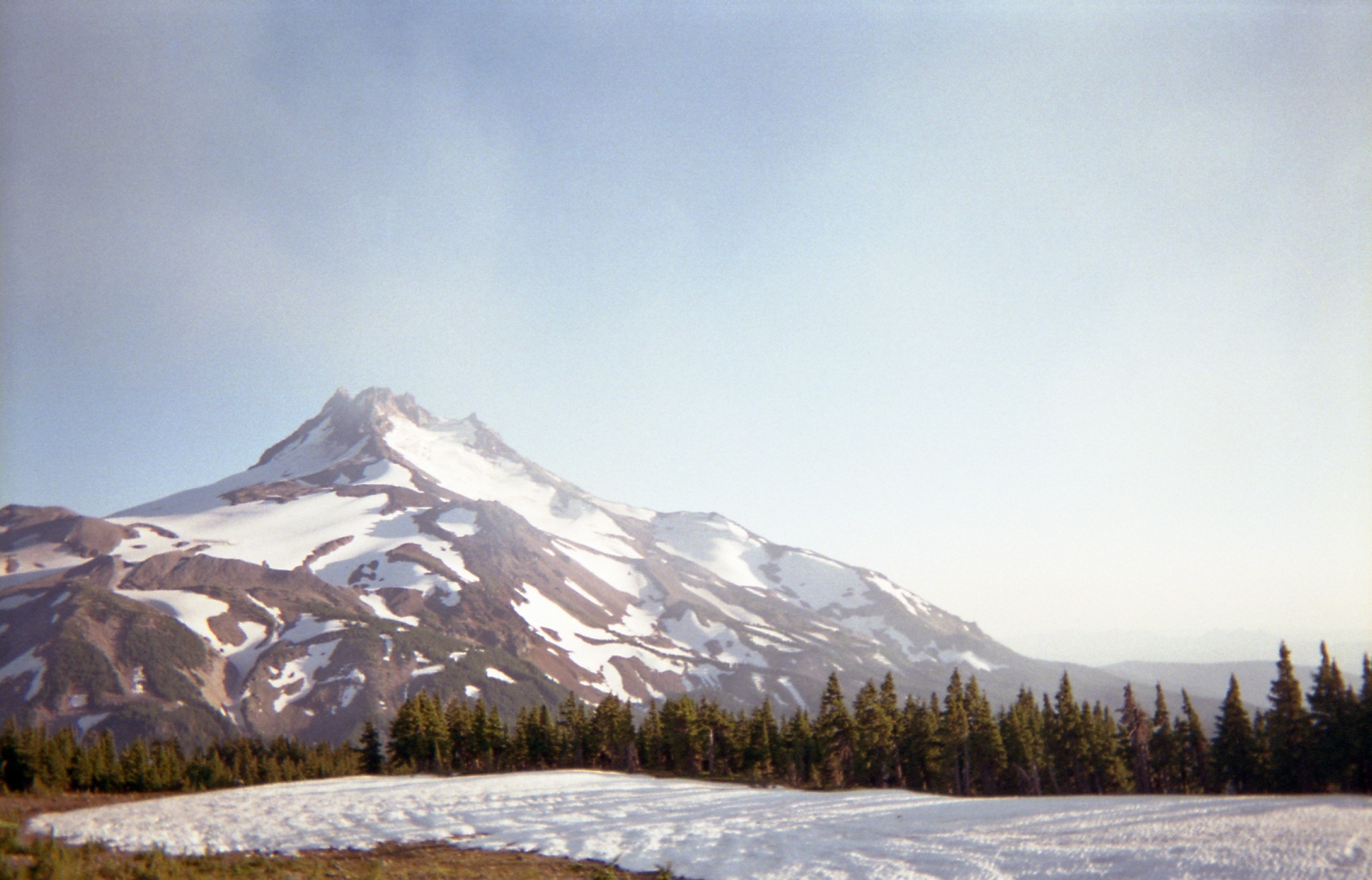 disposable011.jpg