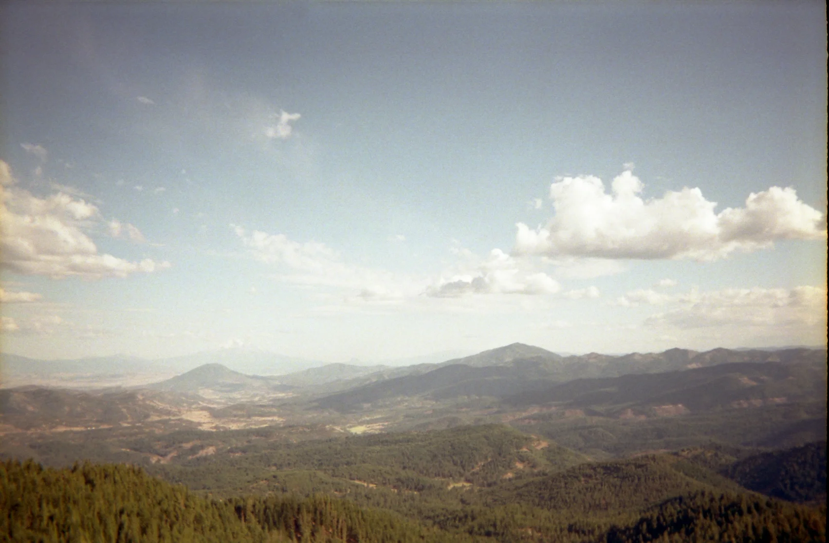 disposable006.jpg