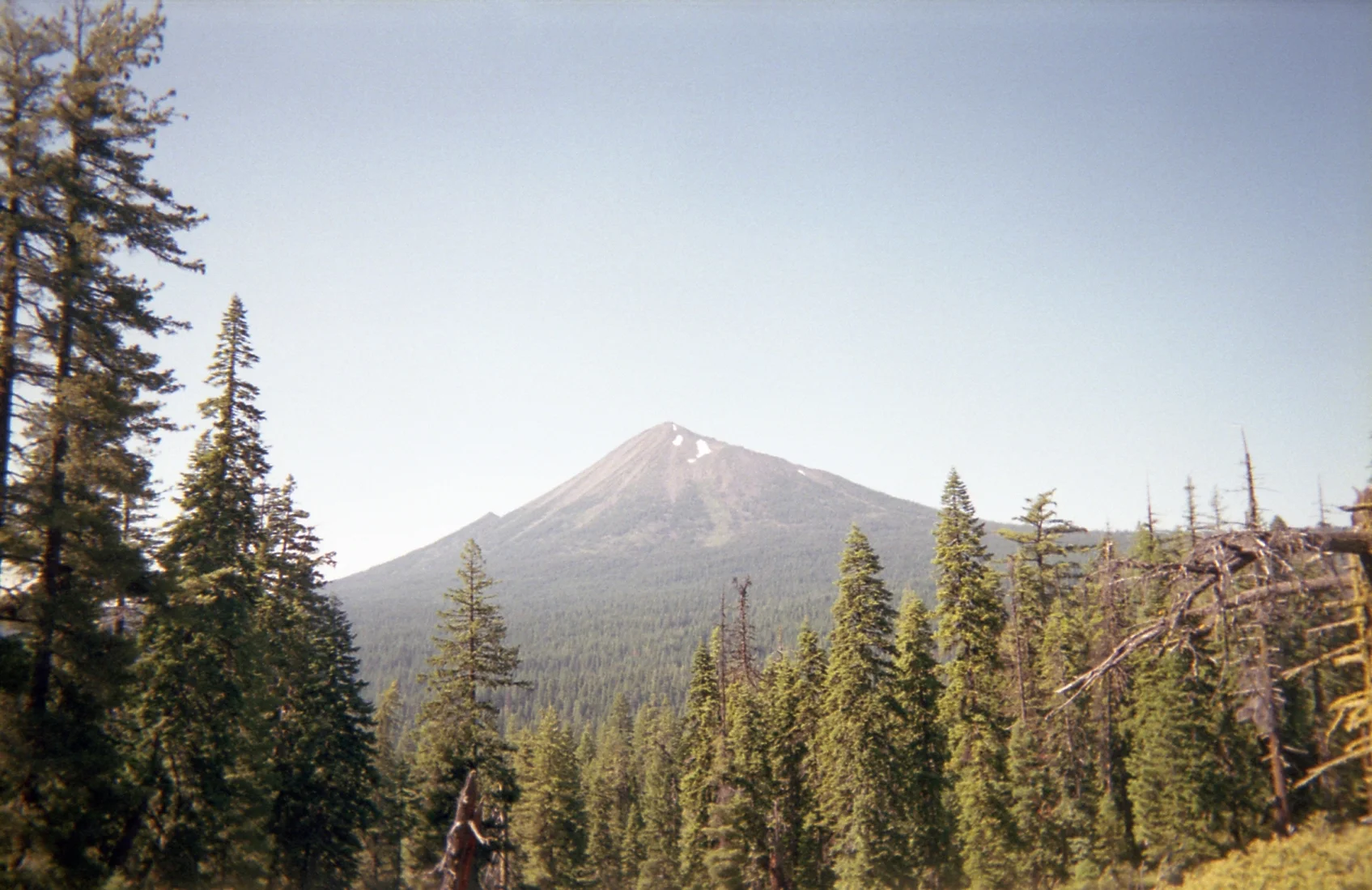 disposable013.jpg