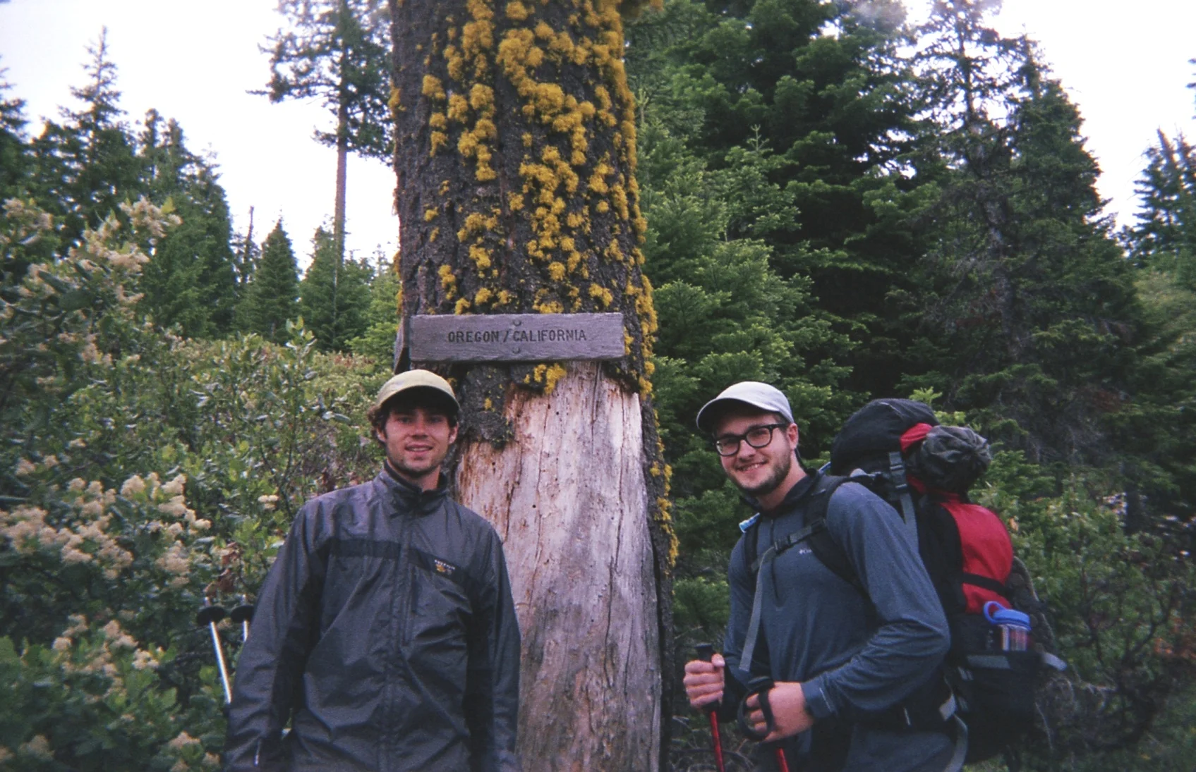disposable009.jpg