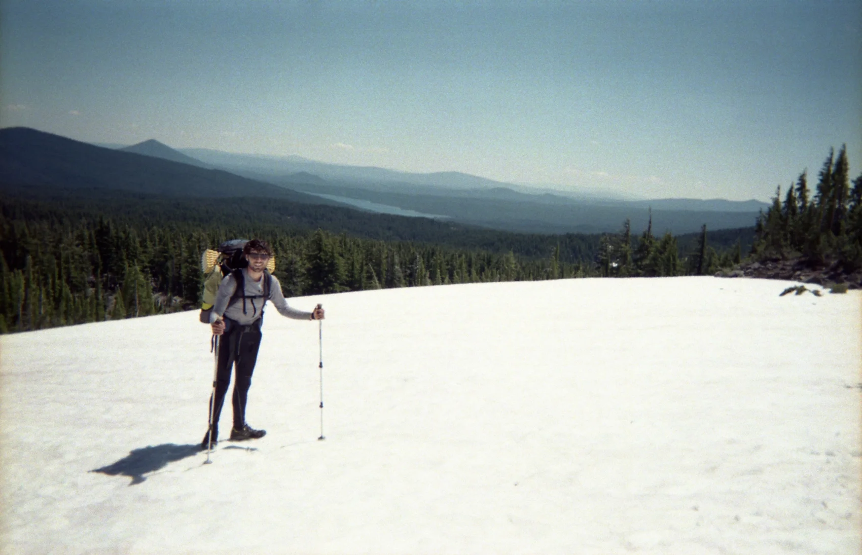 disposable009.jpg