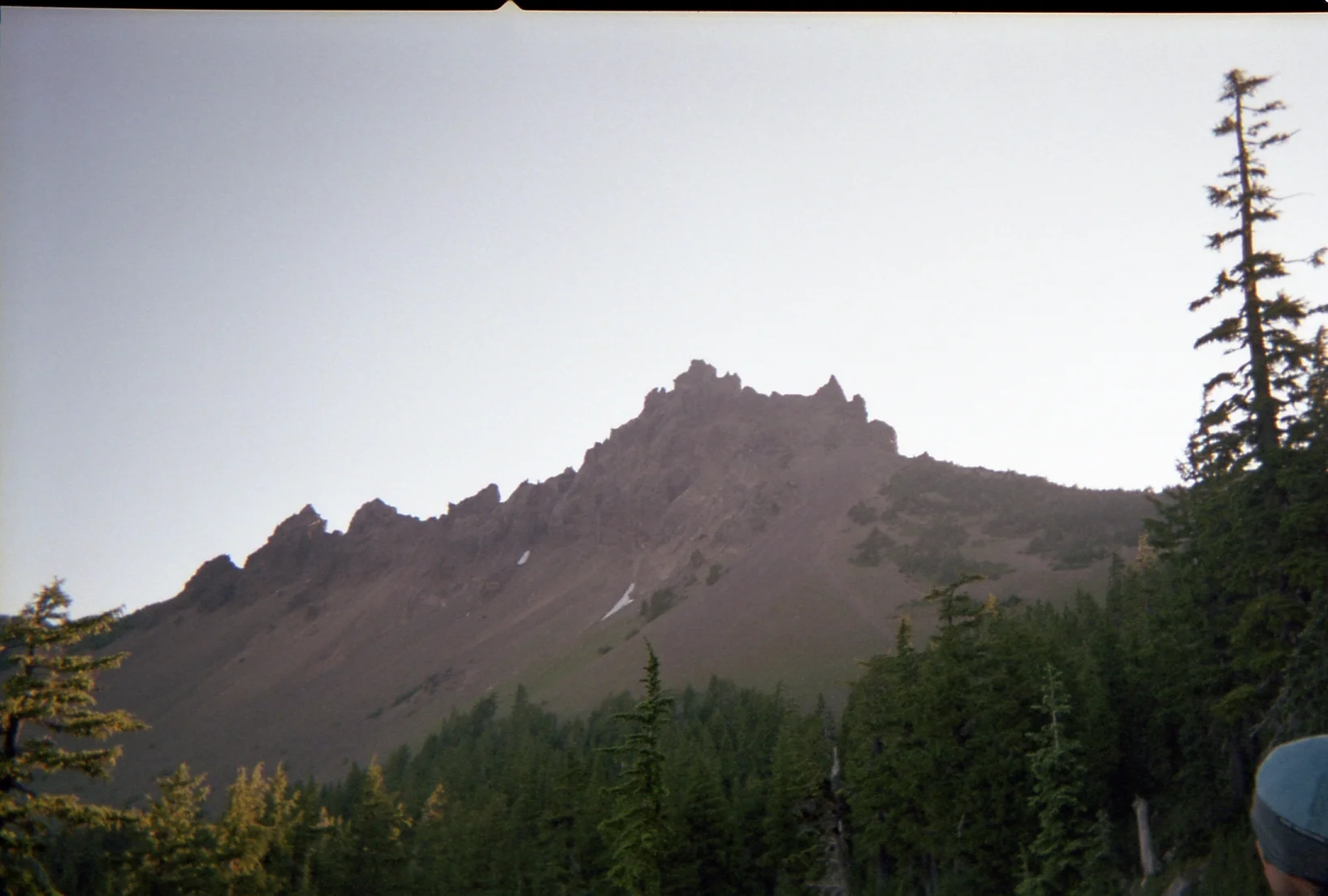 disposable006.jpg