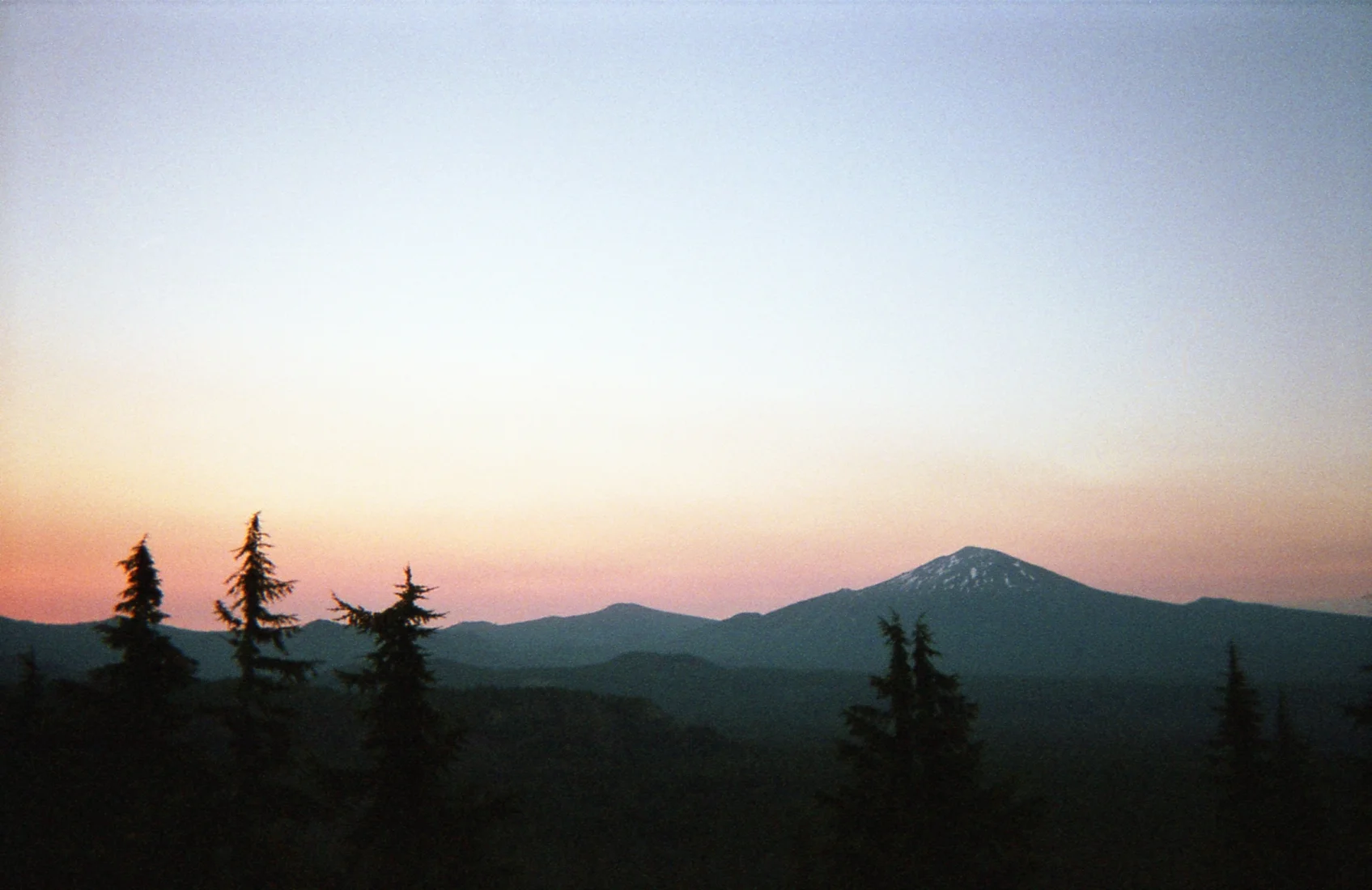 disposable017.jpg
