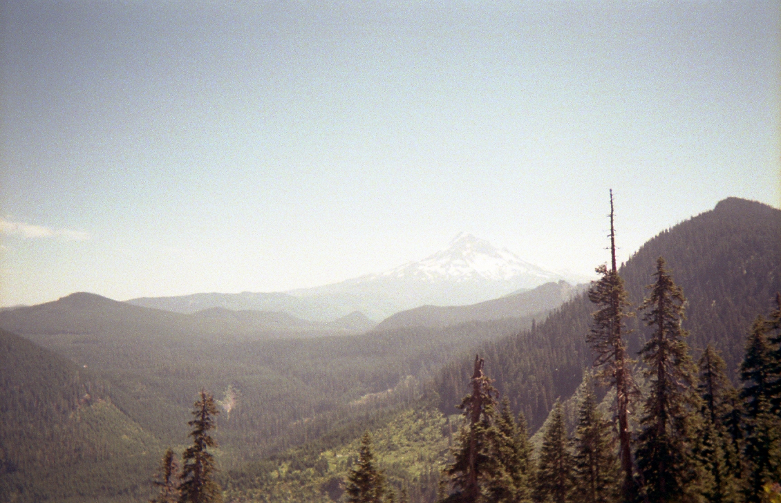 disposable023.jpg