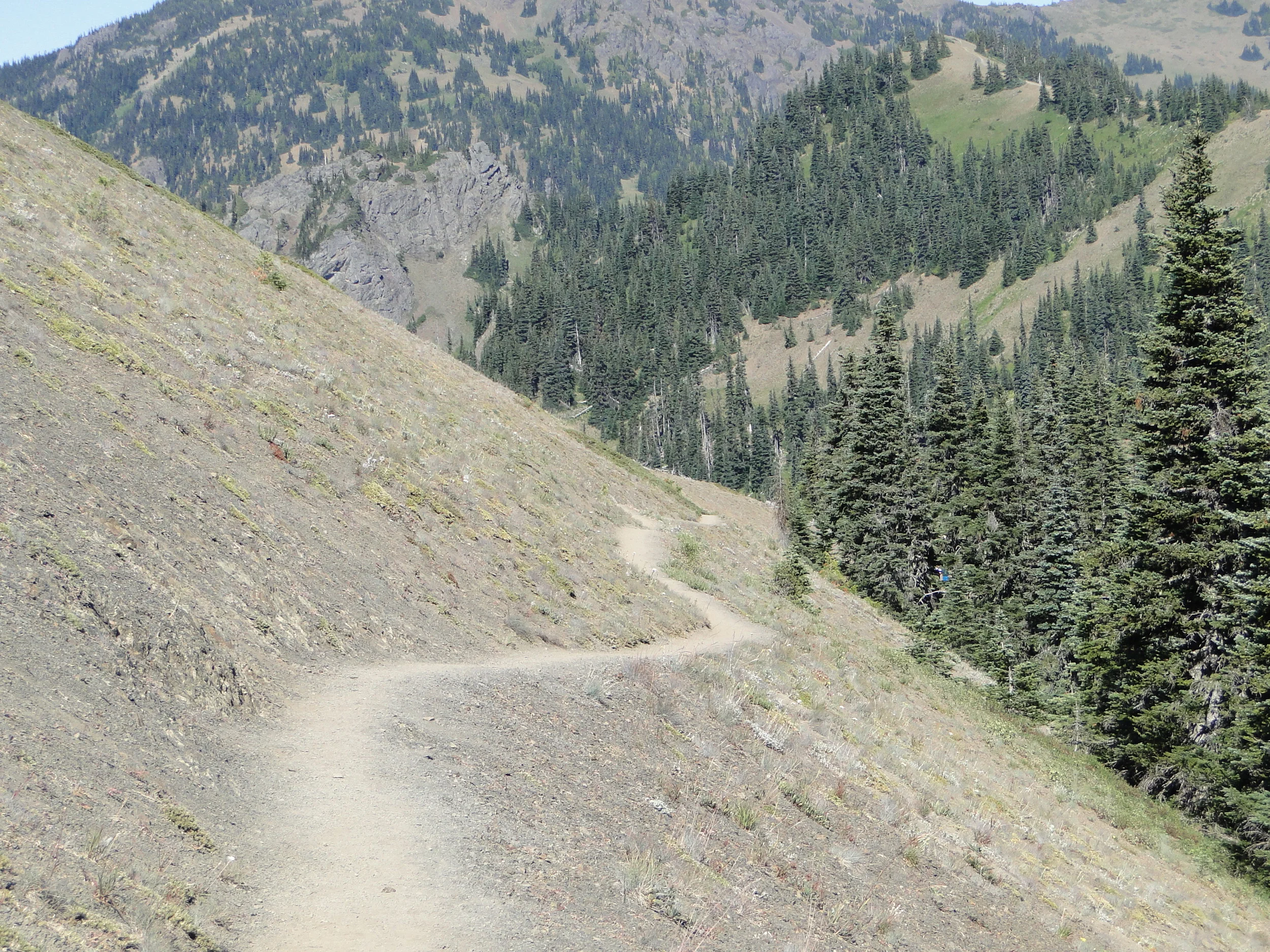 Washington - August 2010 697.JPG