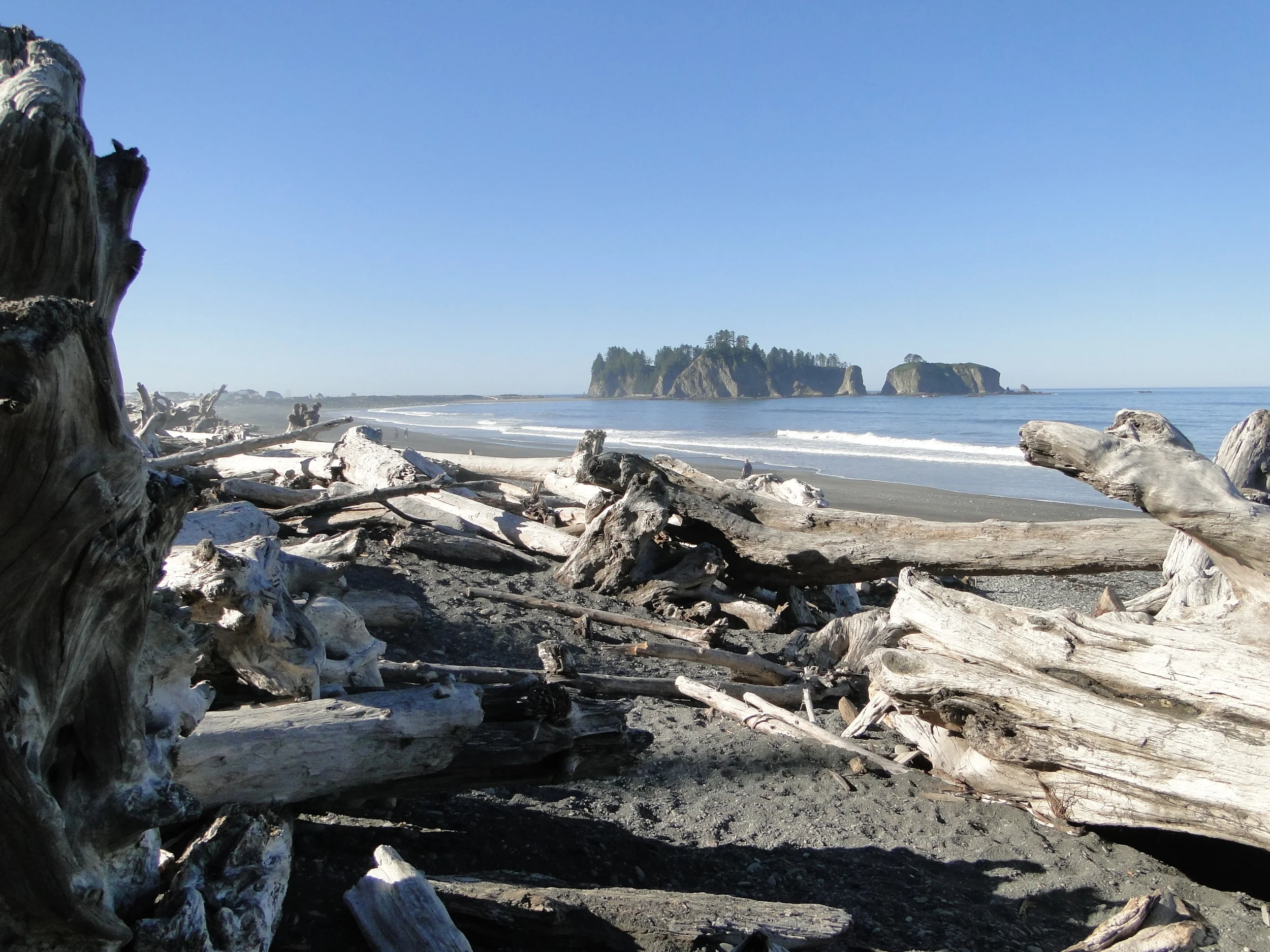 Washington - August 2010 778.JPG