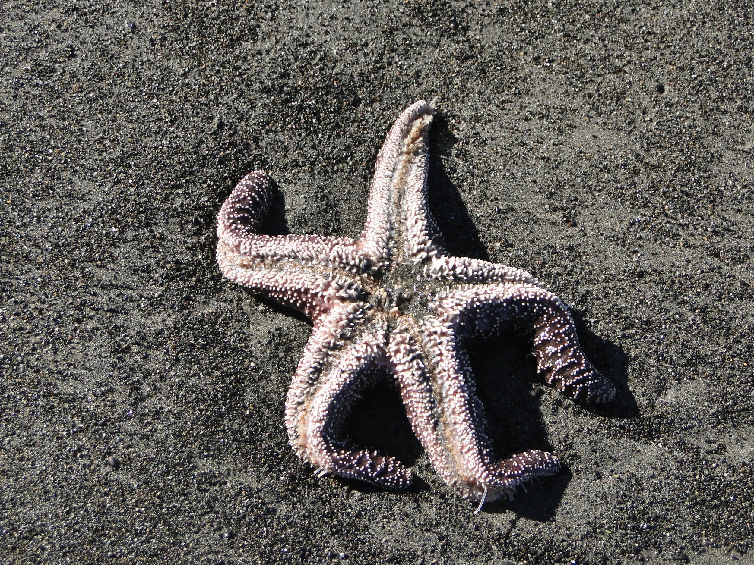 Washington - August 2010 788.JPG