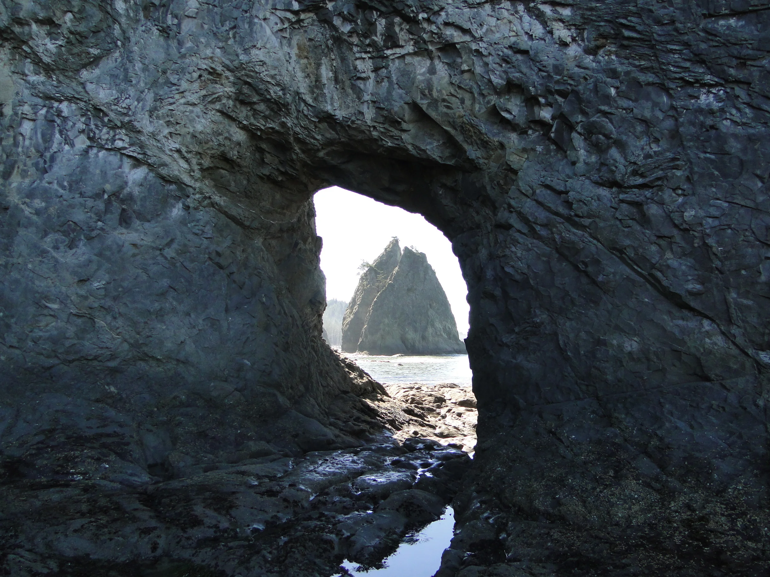 Washington - August 2010 820.JPG