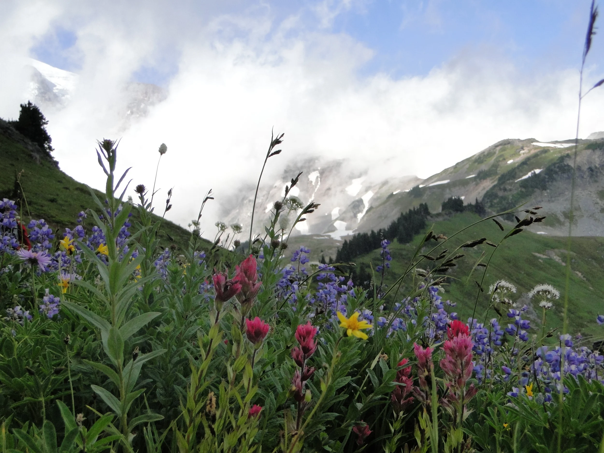 Washington - August 2010 944.JPG