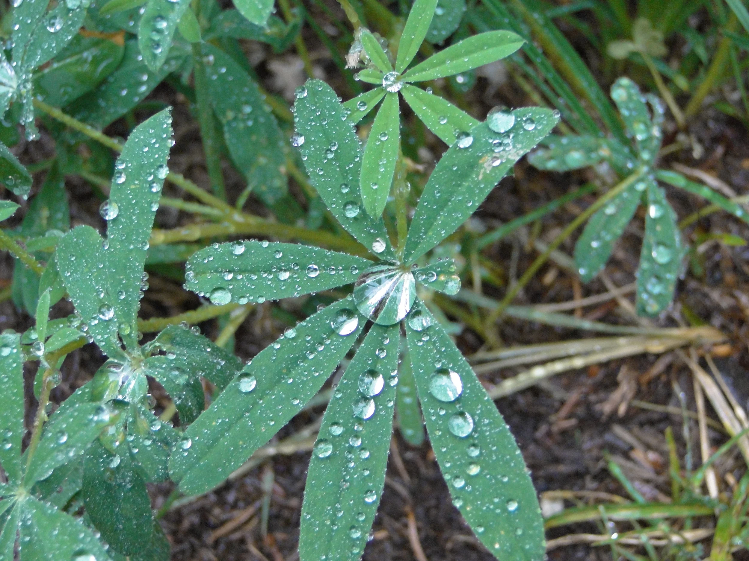 Washington - August 2010 1082.JPG