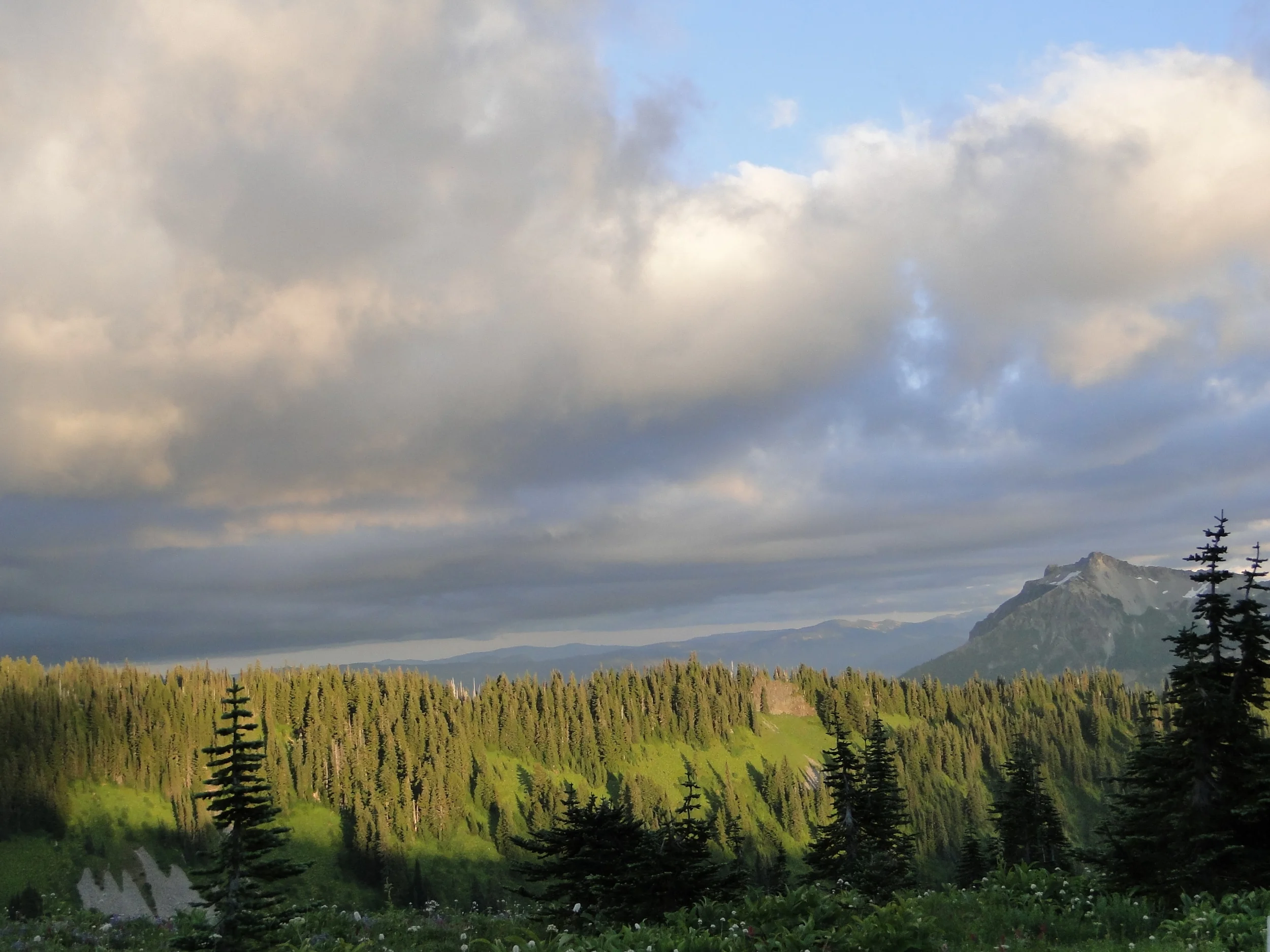 Washington - August 2010 1178.JPG
