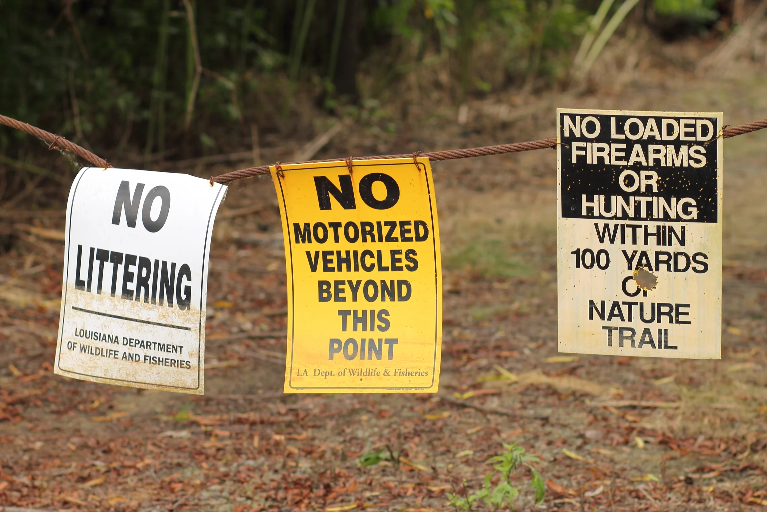 No Signs Everywhere.JPG