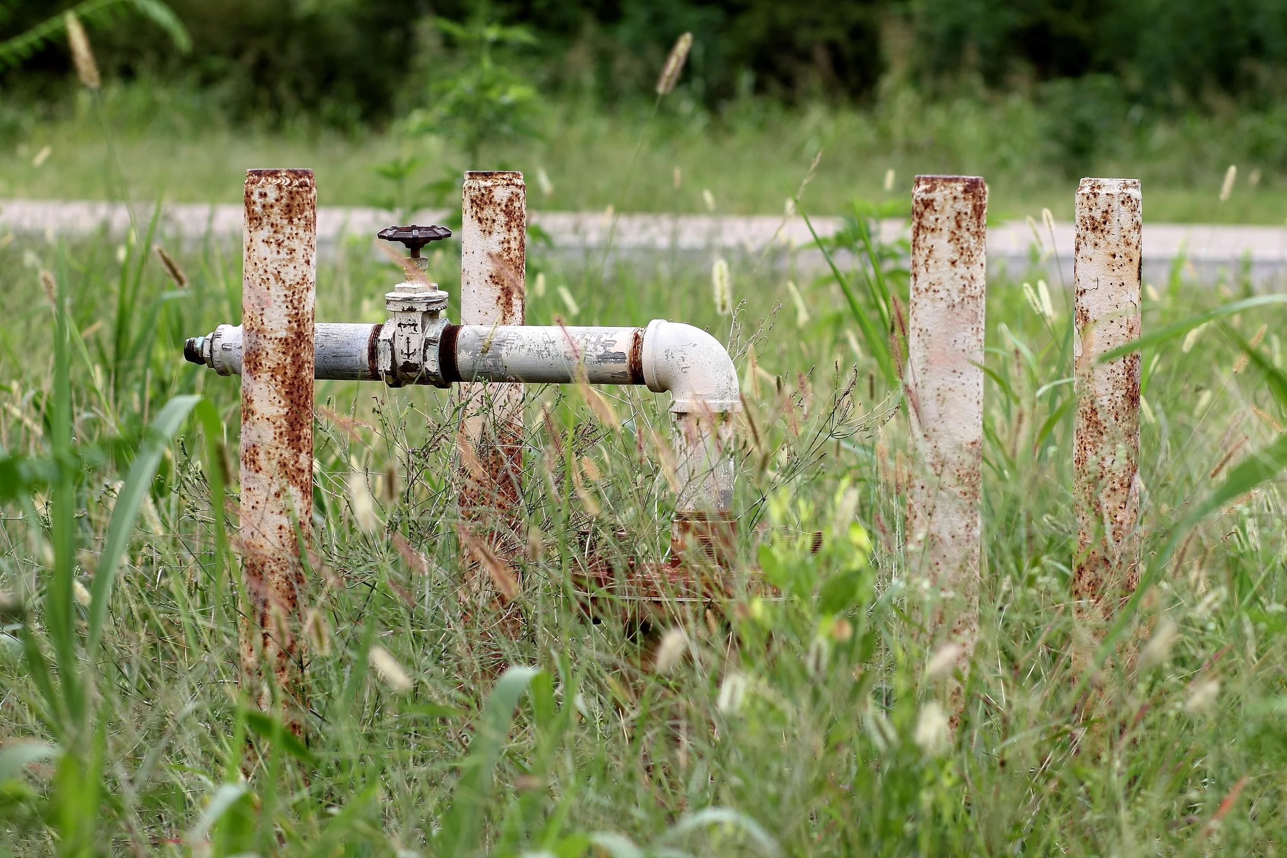 Valve in the Grass.JPG