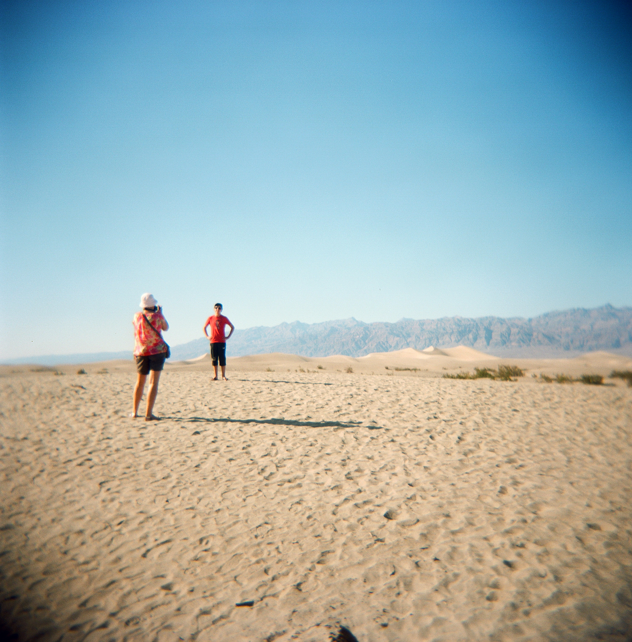  Holga, Death Valley, CA USA 