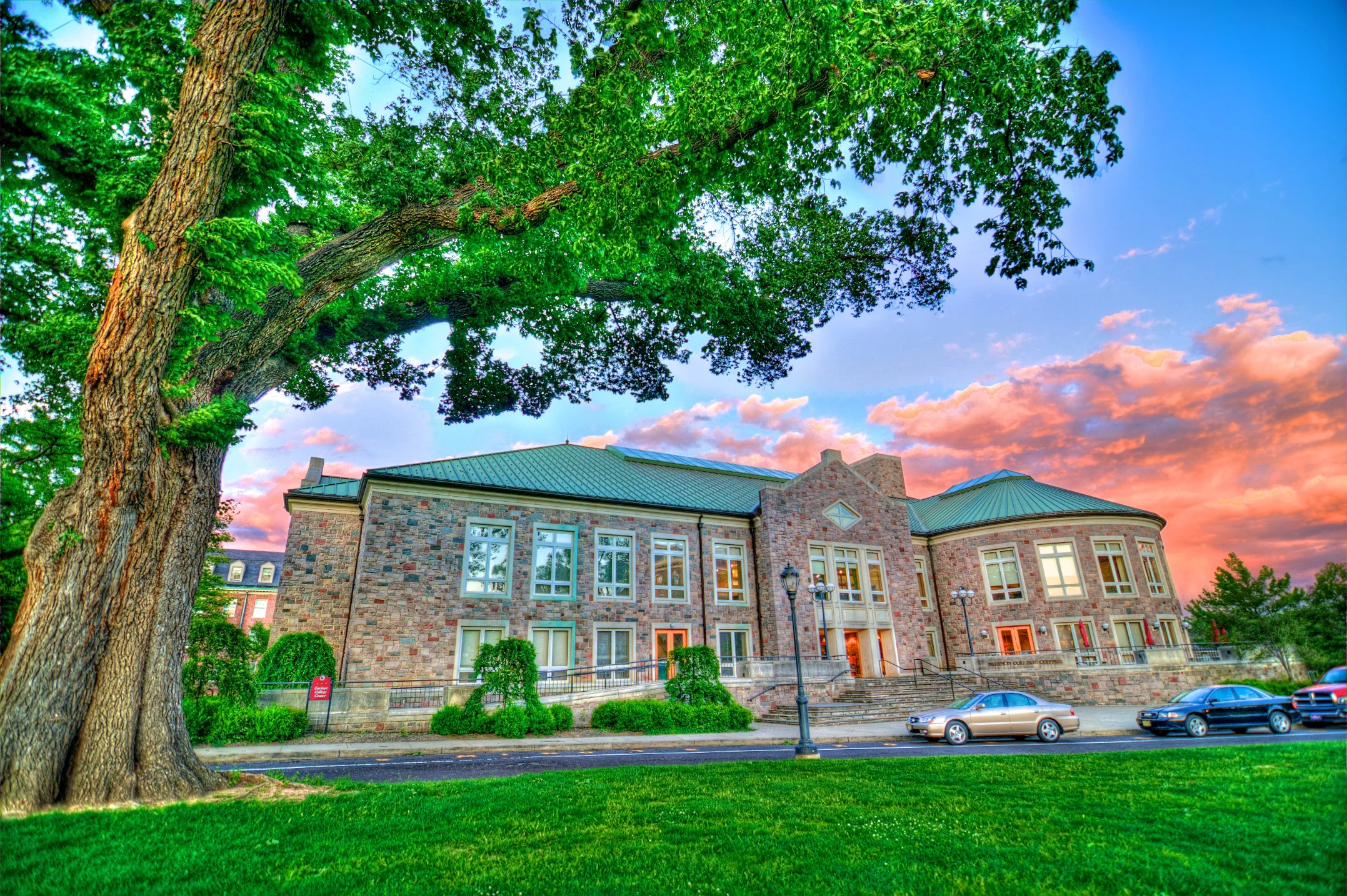Farinon Tree HDR.jpg
