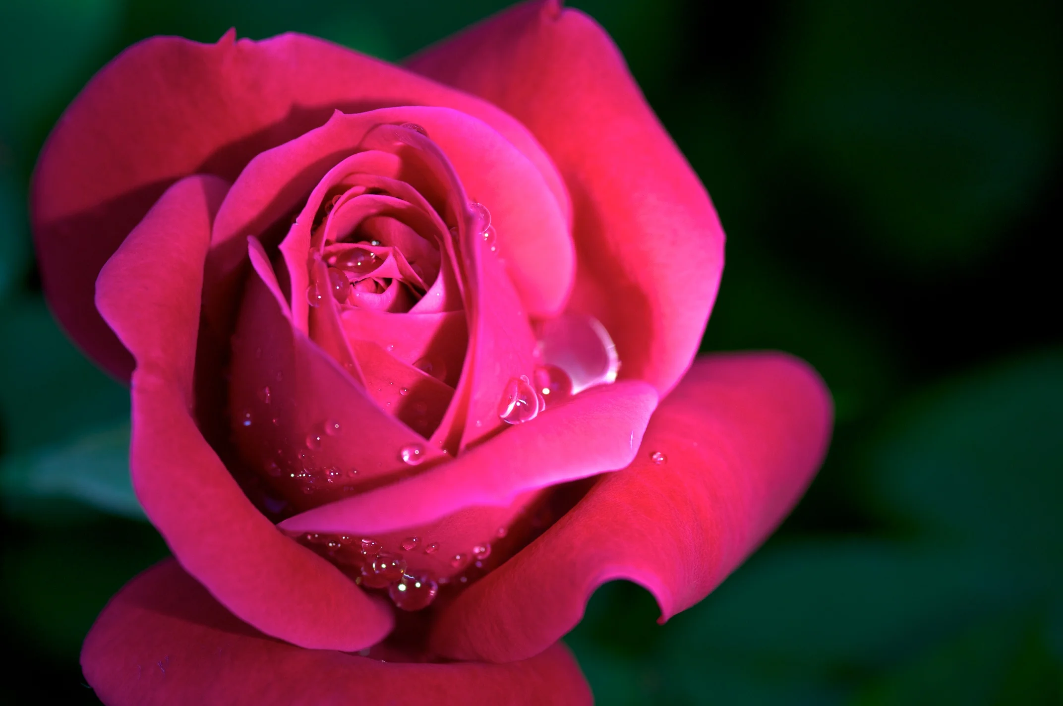 DSC_1442.jpg