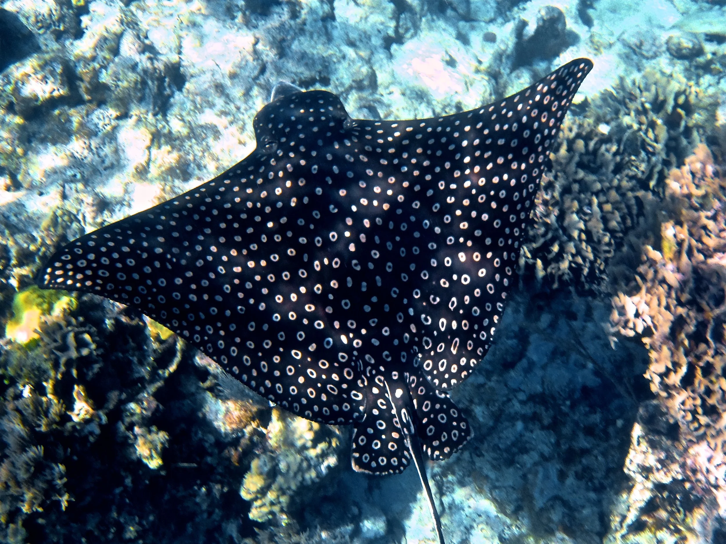 P2270216.jpg