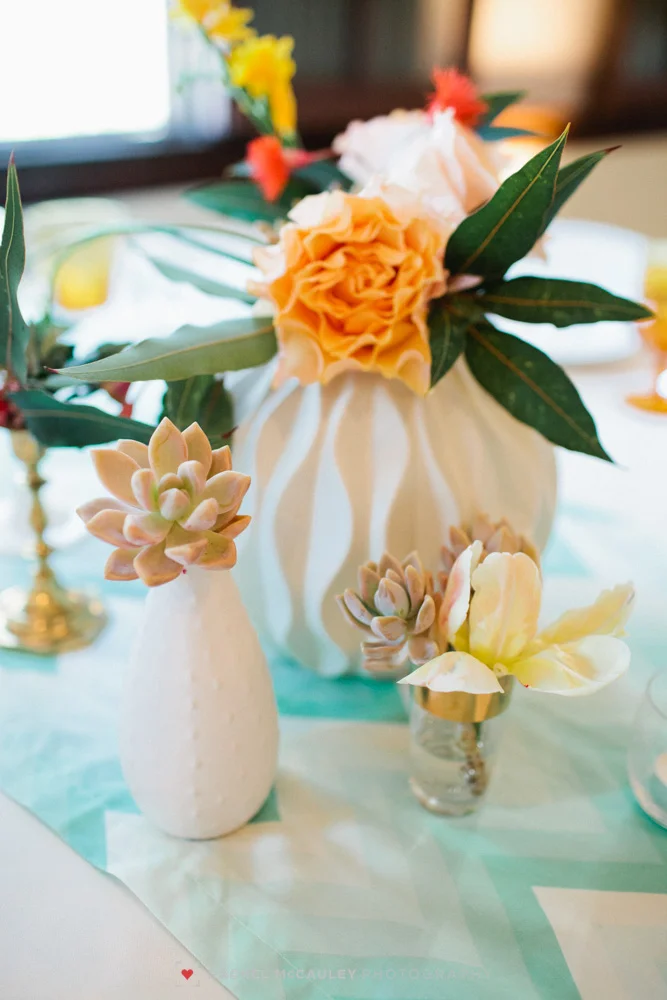 www.rachelmccauley.com