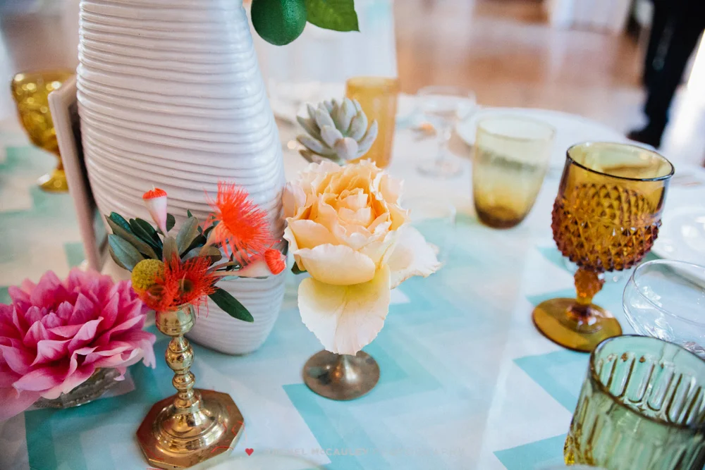 www.rachelmccauley.com