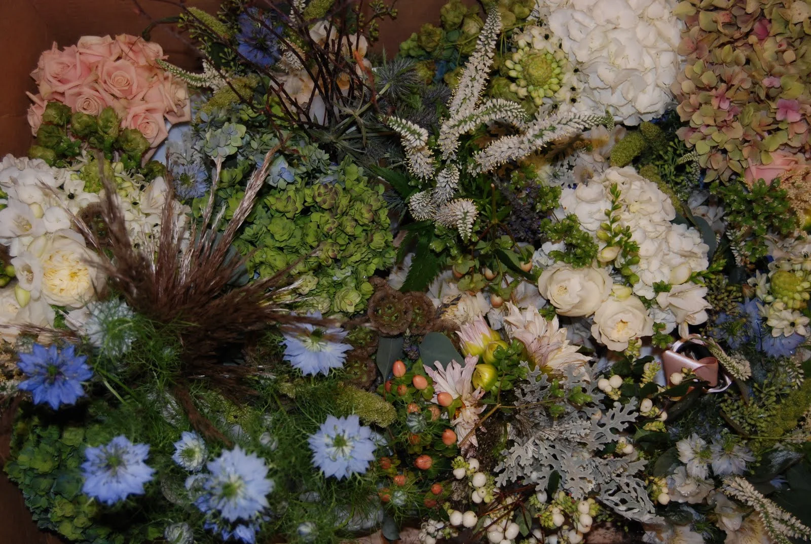 Beautiful FLowers-2.JPG