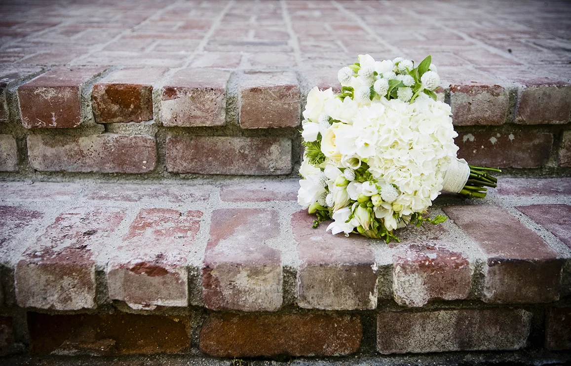   www.bethanymcmahonphotography.com  