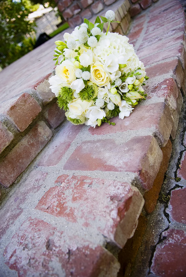   www.bethanymcmahonphotography.com  