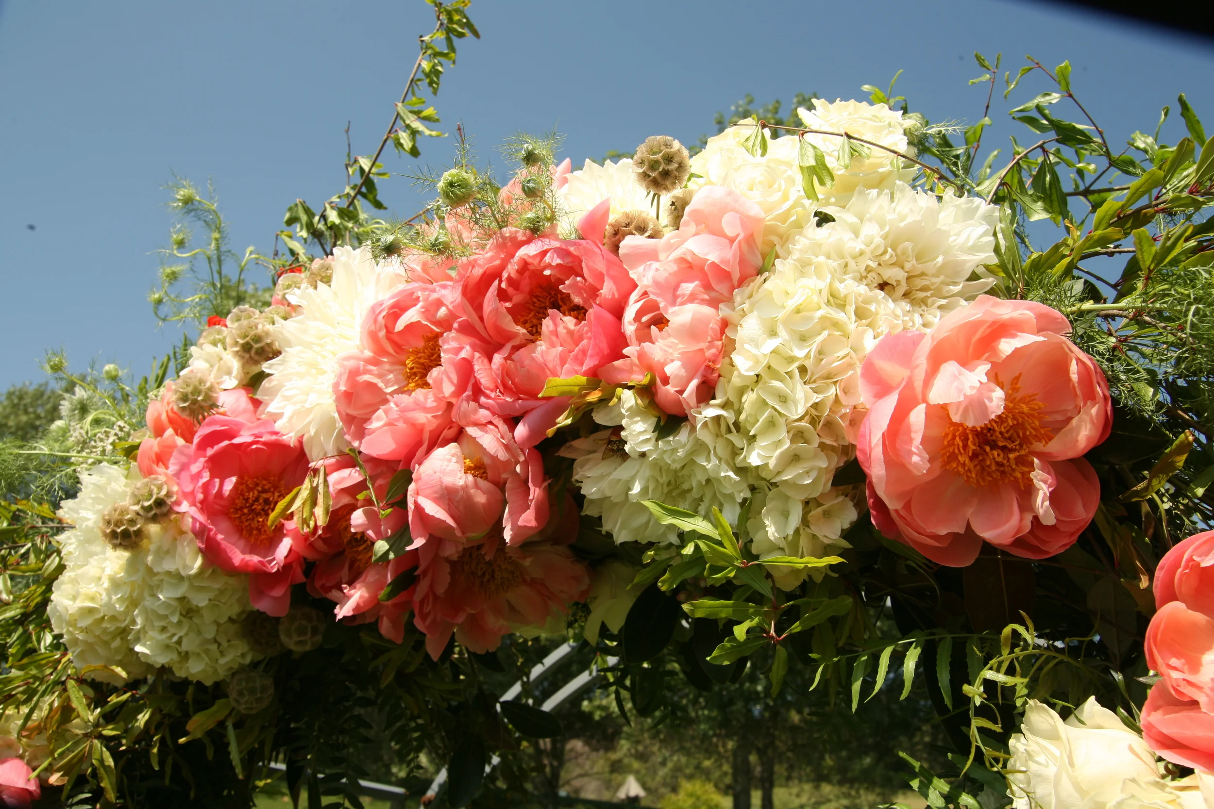  Photography by Kristie Decker 