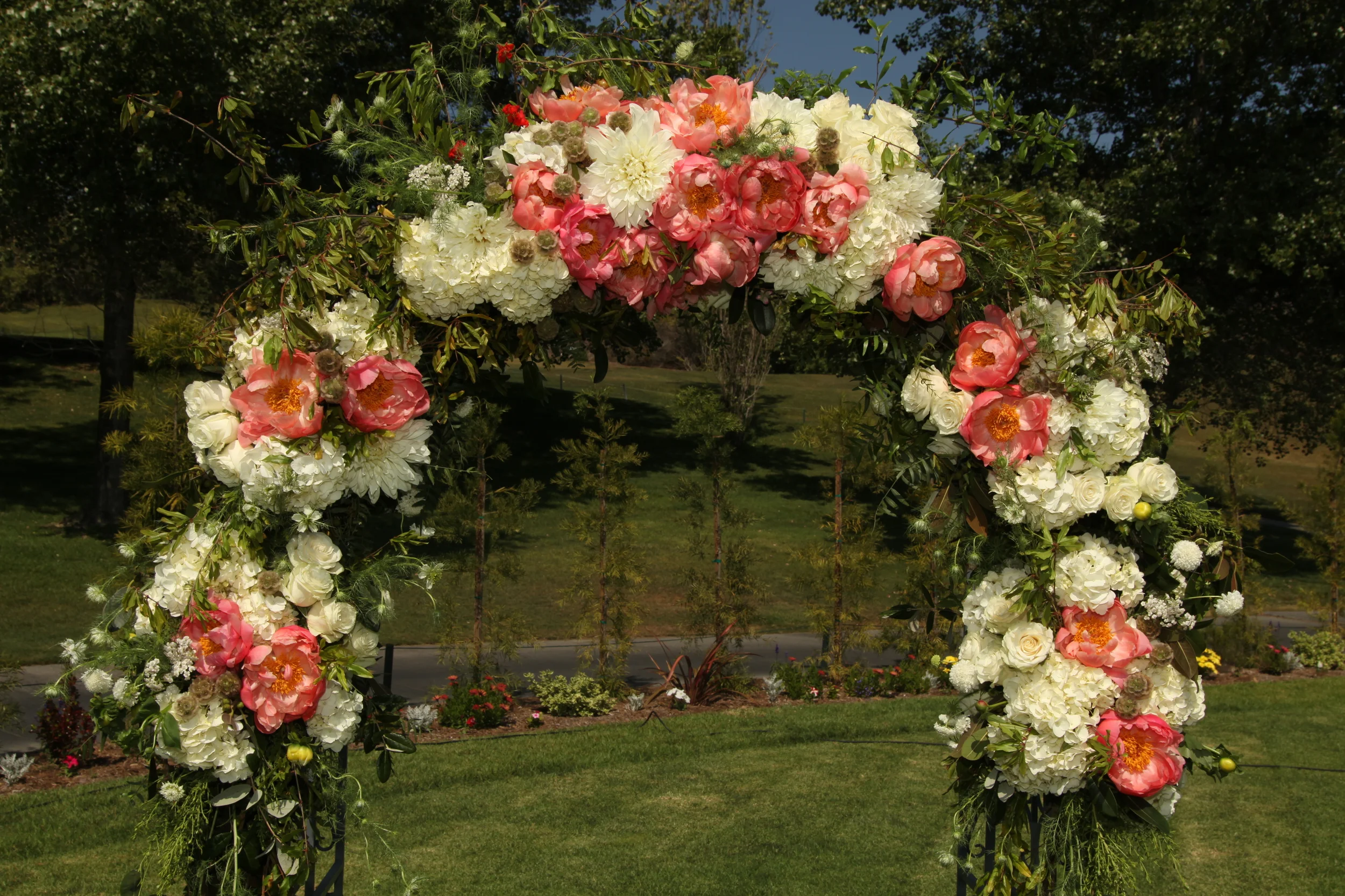  Photography by Kristie Decker 