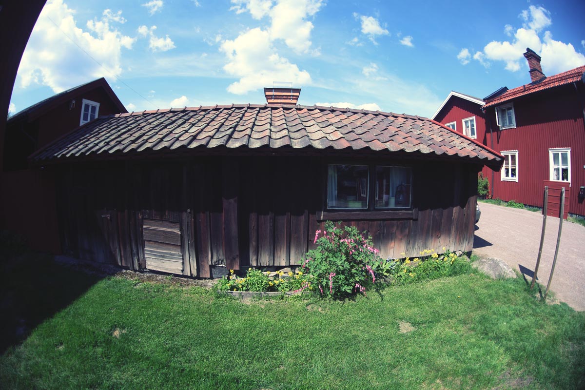 olympus 16mm