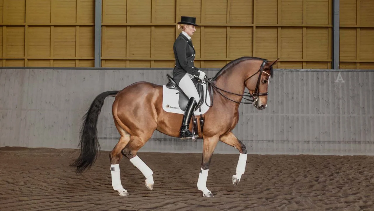 Anna – en film om engagemang, drömmar & att lyckas