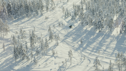 motorbiten1.gif