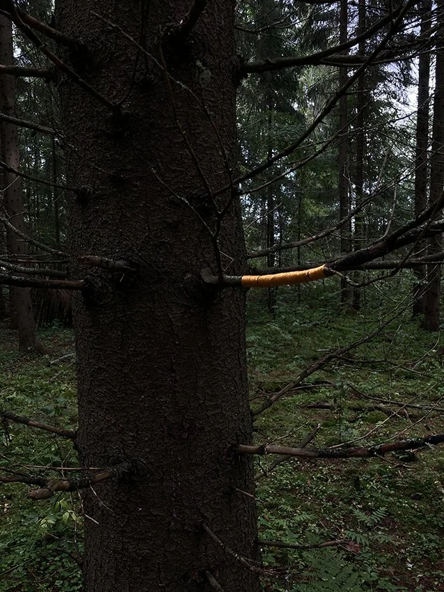 WL4.jpg