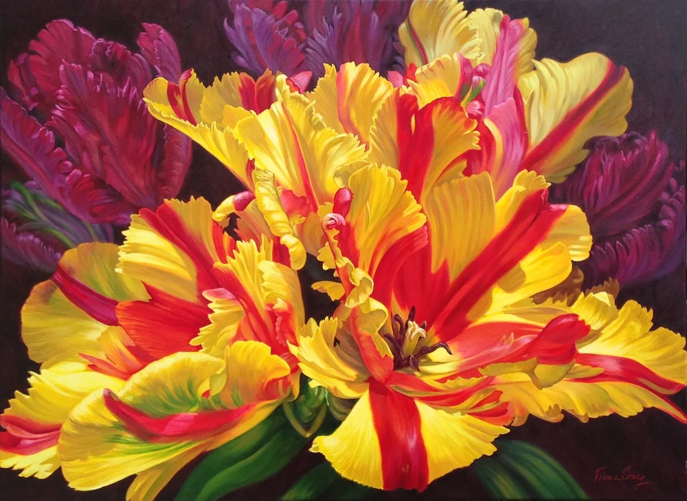 #14234 fiona craig 'tulipomania ii' 101cm x 137cm $6,800.jpg