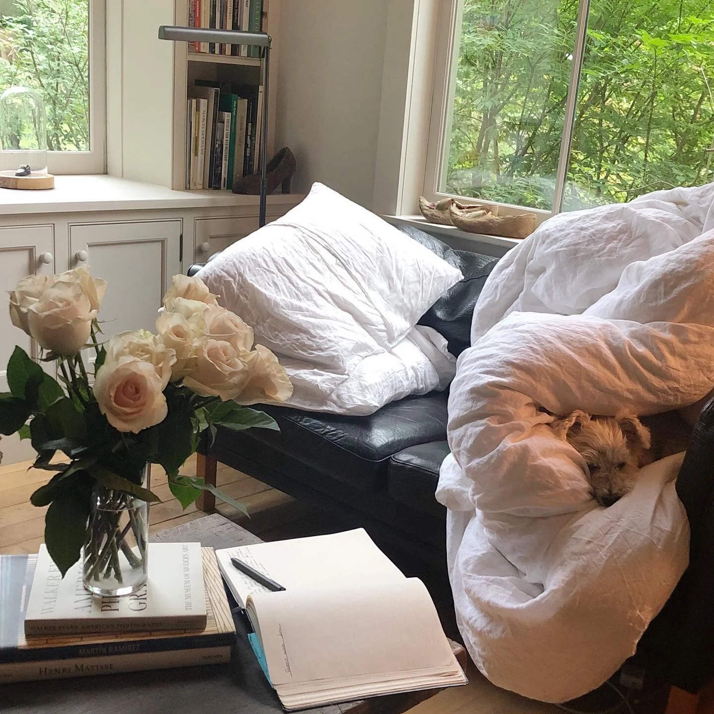 Love and morning pages and grocery store roses from our little abode to yours 🐚