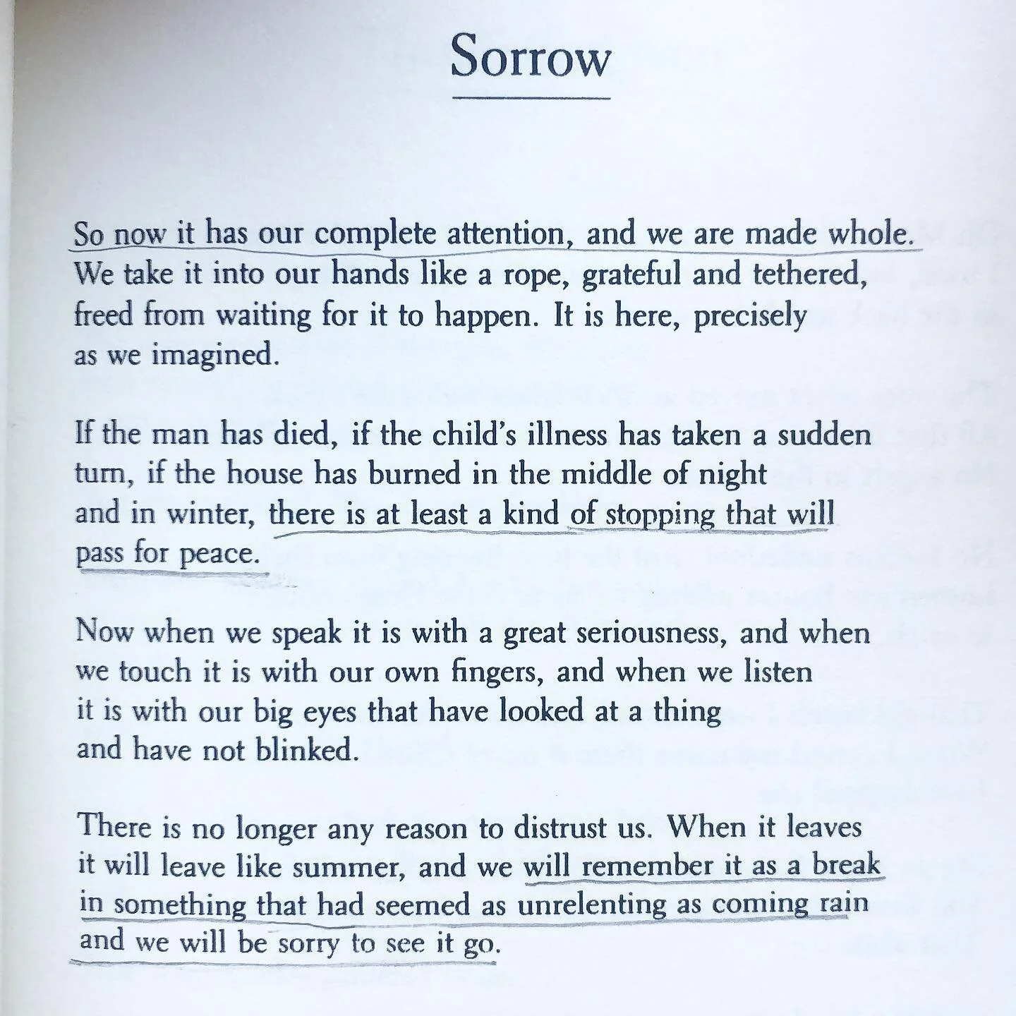 we will remember it as a break in something that had seemed as unrelenting as coming rain

🐚: From &ldquo;The Good Thief&rdquo; by Marie Howe