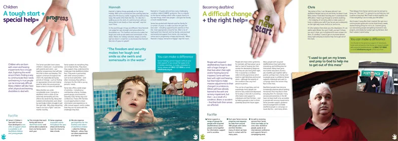 sense-annual-review-2011.jpg