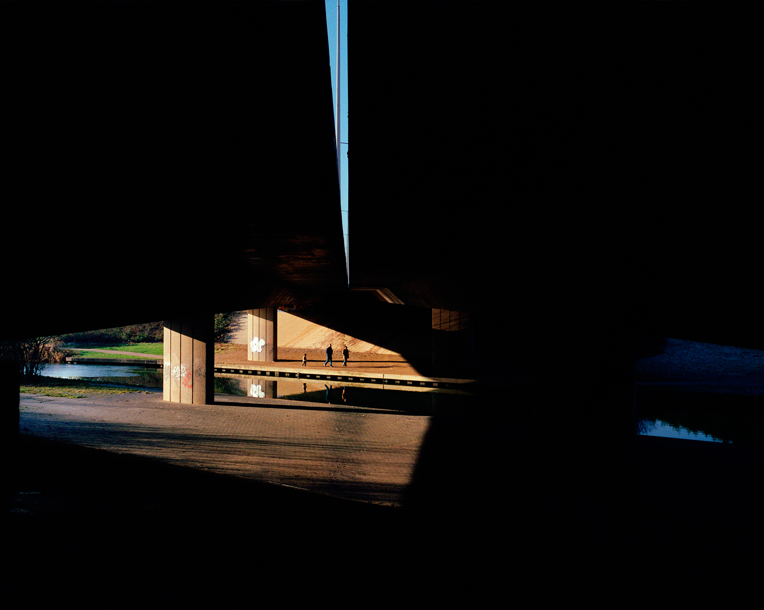 pastures-new-03.jpg