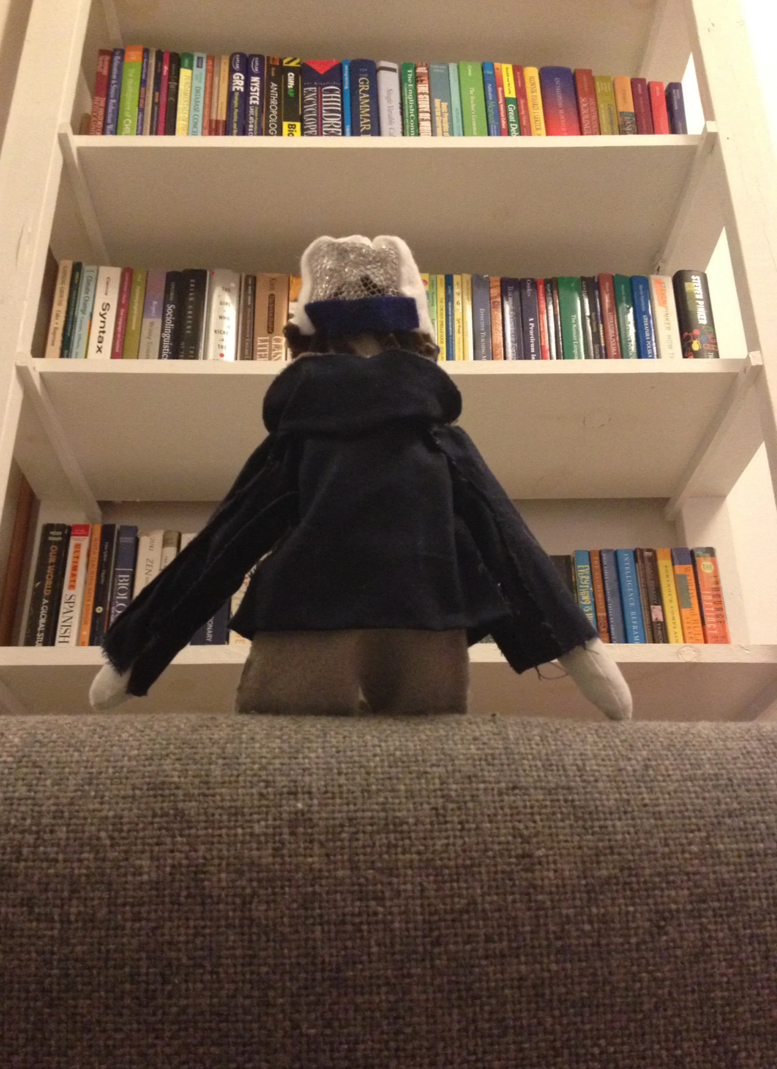 Books on books on books