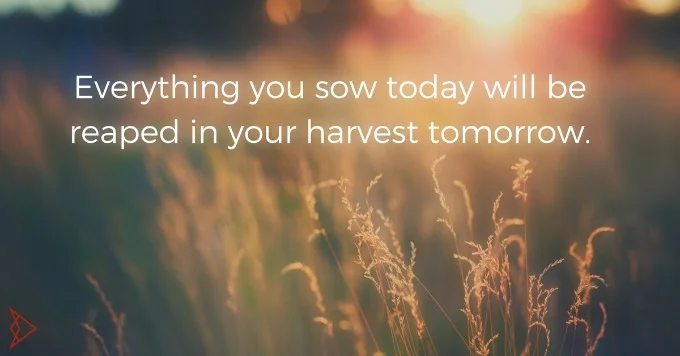 Every-day-your-sowing-for-your-harvest-tomorrow..jpg
