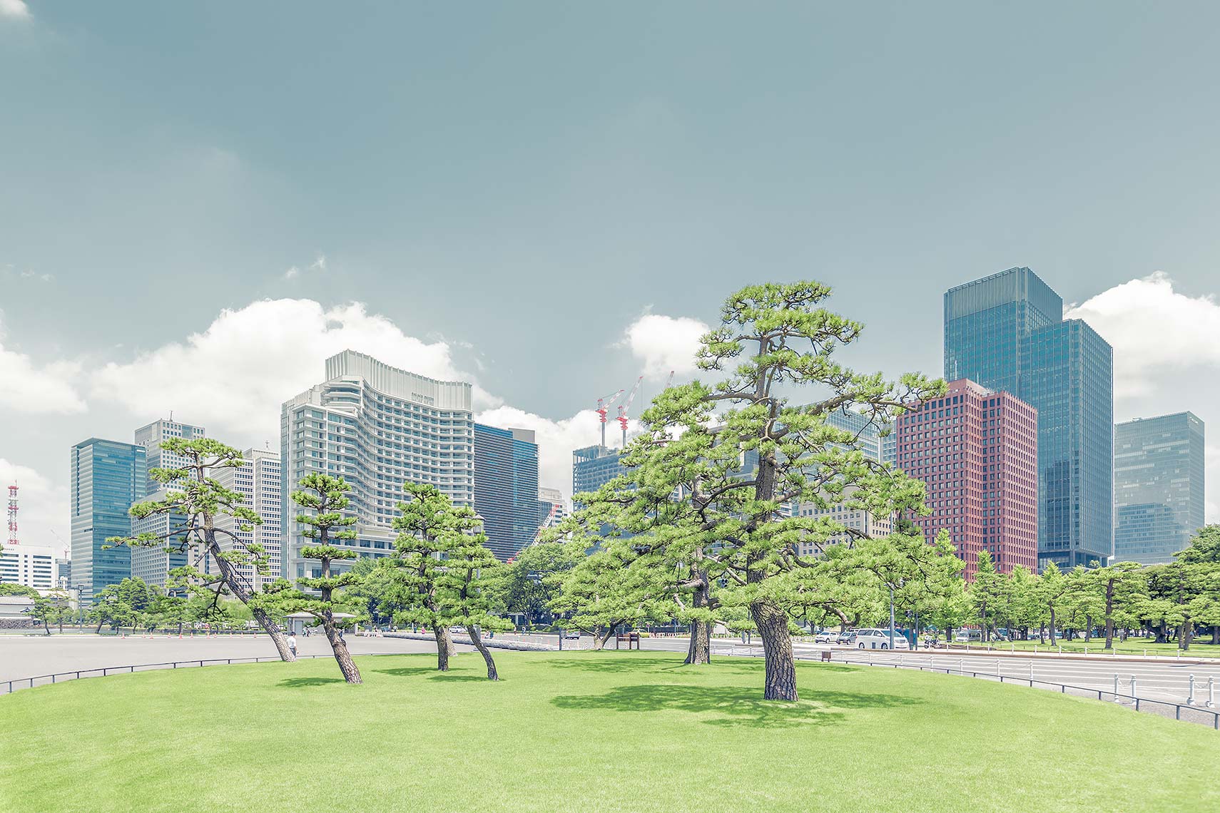 Tokyo_City_Tree_V2.jpg