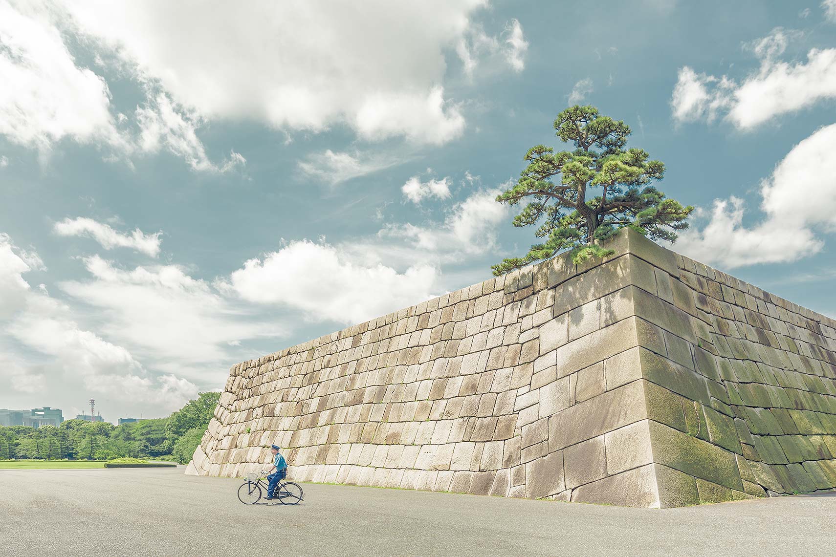 Tokyo_treewall_V2.jpg