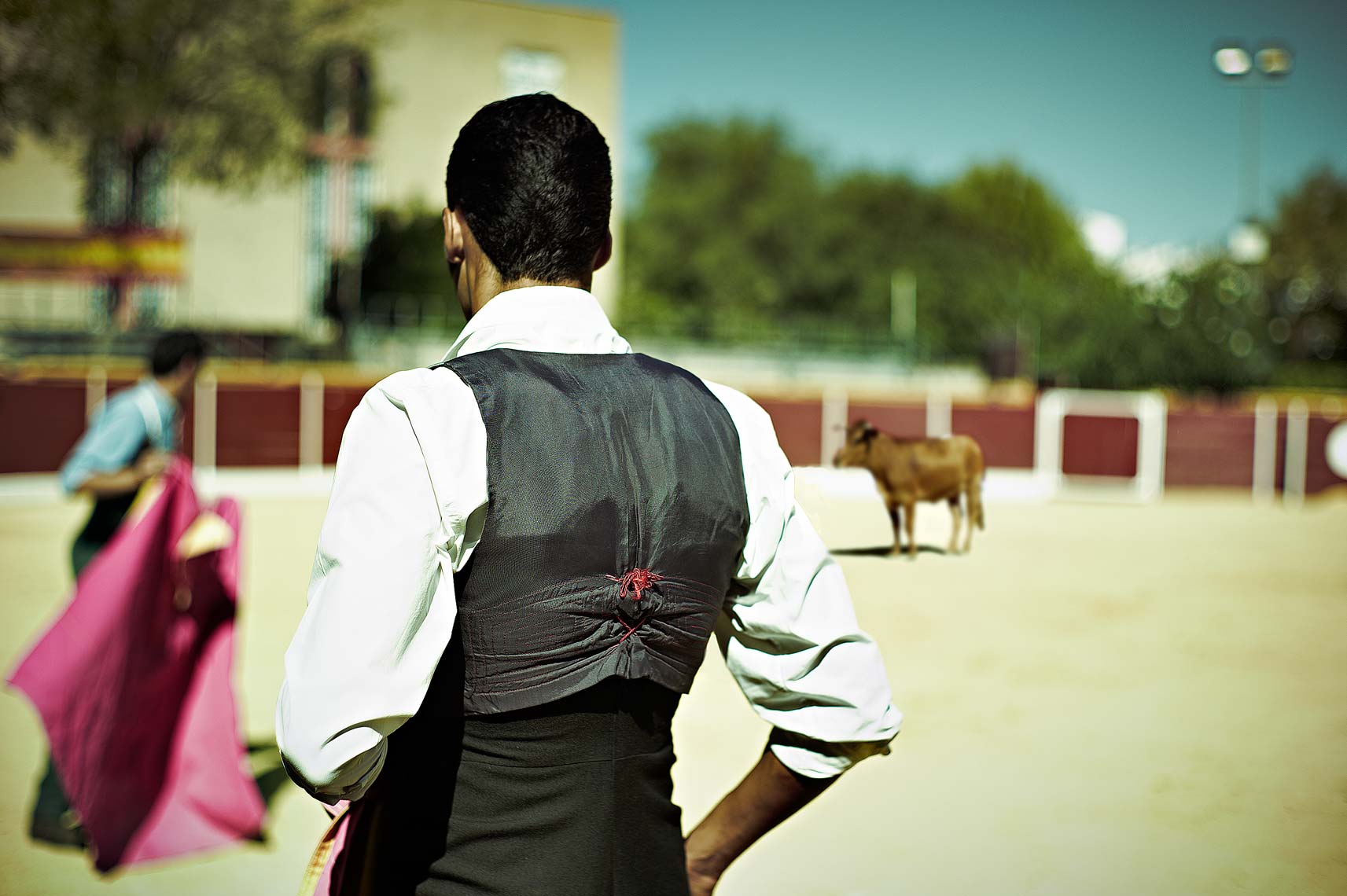 Bullfight2.jpg