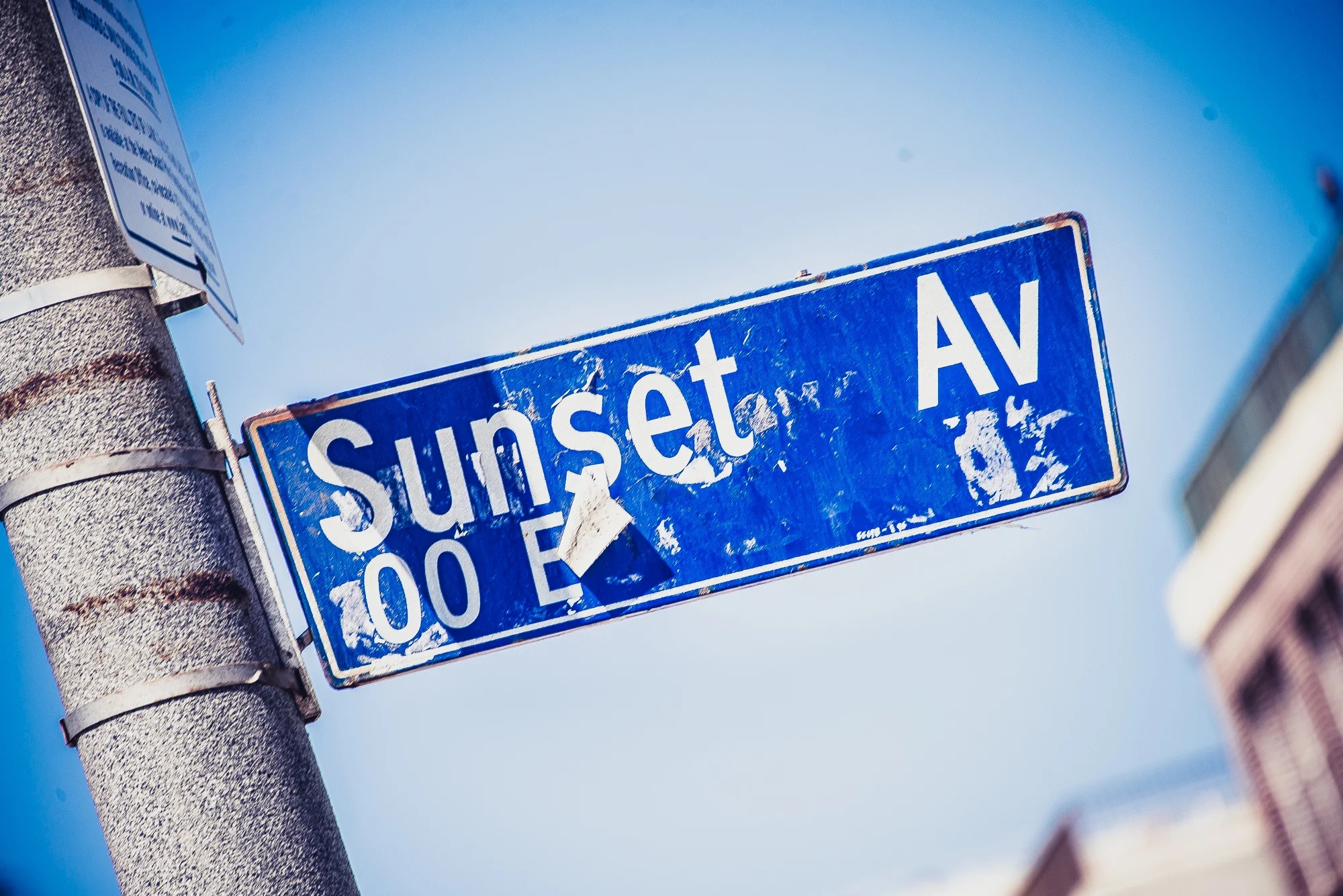 cali lifestyle-8762.jpg